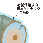 毛髪保護成分