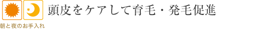 頭皮をケアして育毛・発毛促進