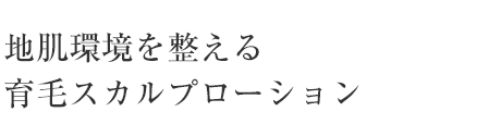 地肌環境を整える育毛スカルプローション