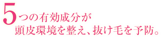 5つの有効成分が頭皮環境を整え、抜け毛を予防。