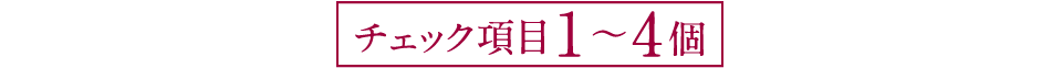 チェック項目１〜４個