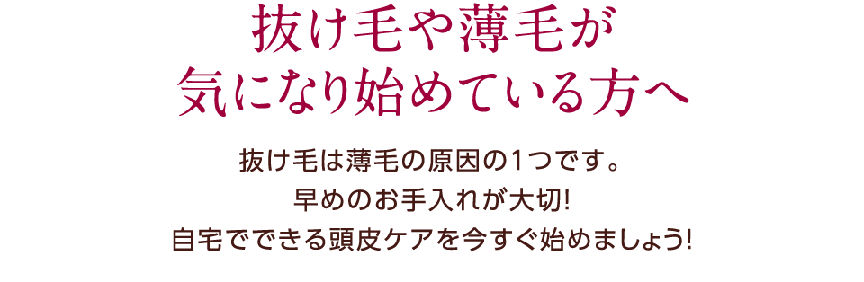 抜け毛や薄毛が気になり始めている方へ。抜け毛は薄毛の原因の１つです。早めのお手入れが大切！自宅でできる頭皮ケアを今すぐ始めましょう！