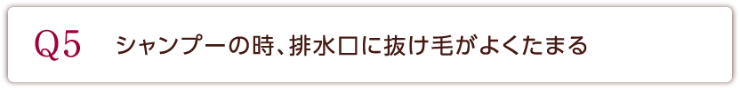 Q5 シャンプーの時、排水口に抜け毛がよくたまる