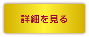 詳細を見る