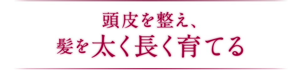 頭皮を整え、髪を太く長く育てる